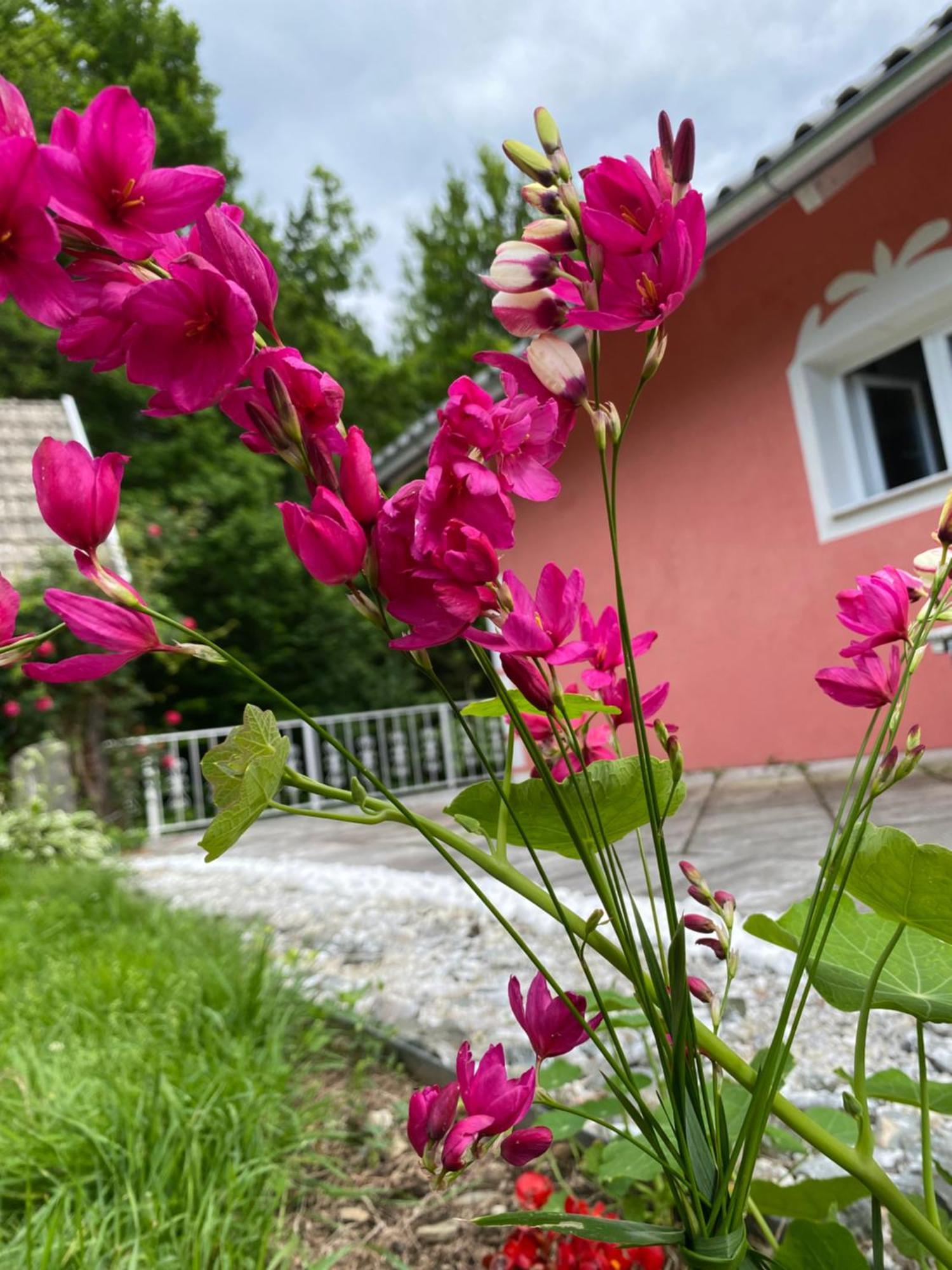 Pension Hadanig Apartment Techelsberg Exterior foto